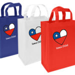 Bolsa TNT Vamos Chile 25x30x8cm