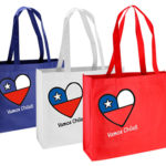 Bolsa Vamos Chile TNT Congress 40x30x12cm