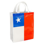 Bolsa TNT Bandera Chilena 25x30x8cm