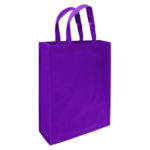 Bolsa Reutilizable Conference 30x38x8.5cm