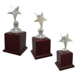 Trofeo Estrella ES