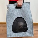 Bolso de Fieltro Porta-Mascota