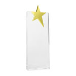 Trofeo Galvano de Cristal "Ledecky" - Imagen 6