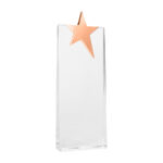 Trofeo Galvano de Cristal "Ledecky" - Imagen 8