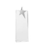 Trofeo Galvano de Cristal "Ledecky" - Imagen 4