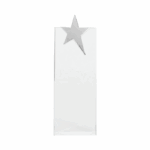 Trofeo Galvano de Cristal "Ledecky" - Imagen 3