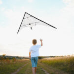 Cometa Strelec - Imagen 6
