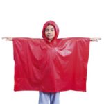 Poncho Teo - Imagen 4