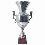 Copa CAS 100 - Imagen 2