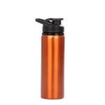 Botella de Acero Inoxidable «APIA» 750cc - Imagen 2