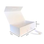 Caja Magnética Blanco Con Manilla